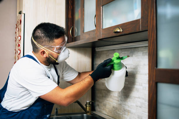 Myrtle Point, OR Pest Control Company