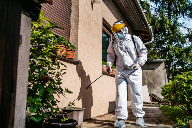Best Pest Control Near Me  in Myrtle Point, OR
