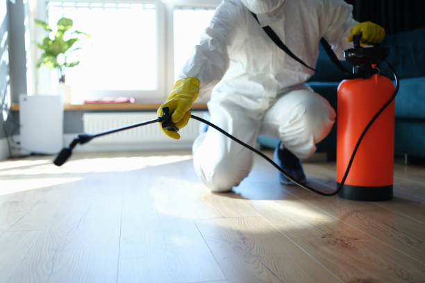 Best Pest Control Treatment  in Myrtle Point, OR
