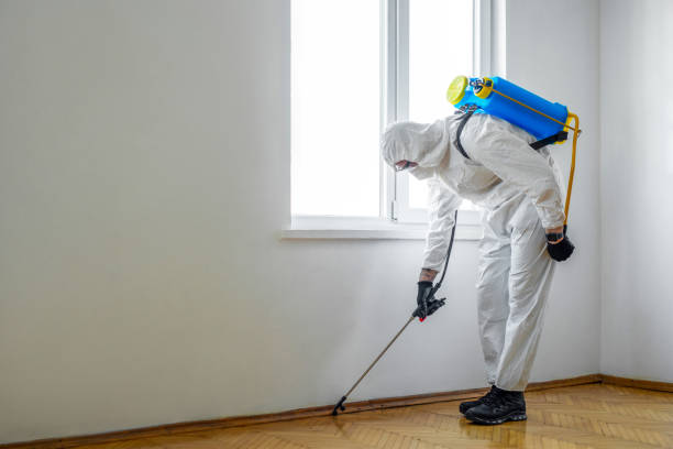 Best Local Pest Control Services  in Myrtle Point, OR