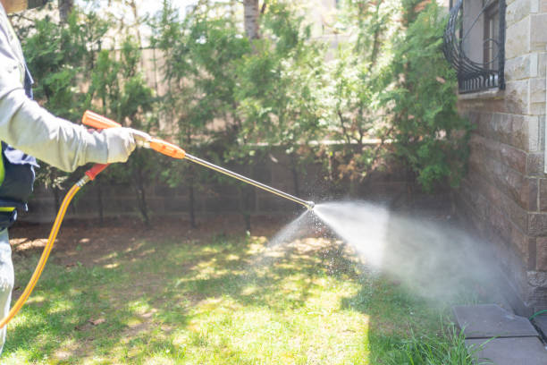 Best Best Pest Control Companies  in Myrtle Point, OR