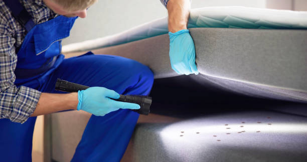 Best Pest Control for Restaurants  in Myrtle Point, OR