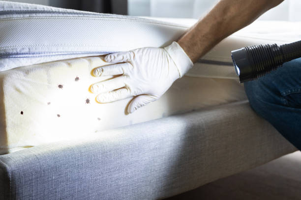 Best Pest Inspection Near Me  in Myrtle Point, OR