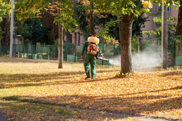 Best Rat Extermination Near Me  in Myrtle Point, OR
