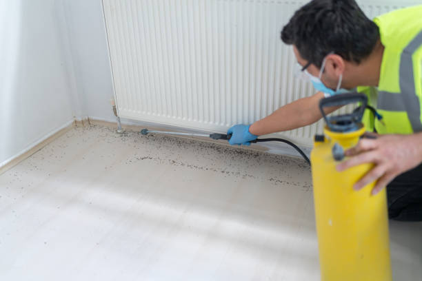 Best Flea Control Services  in Myrtle Point, OR