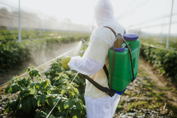 Best Ant Control Services  in Myrtle Point, OR